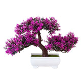 Bonsai potted plants