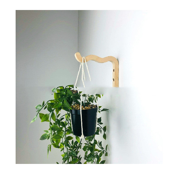 Indoor Plant Hanger Hanging Swing Wall Hook