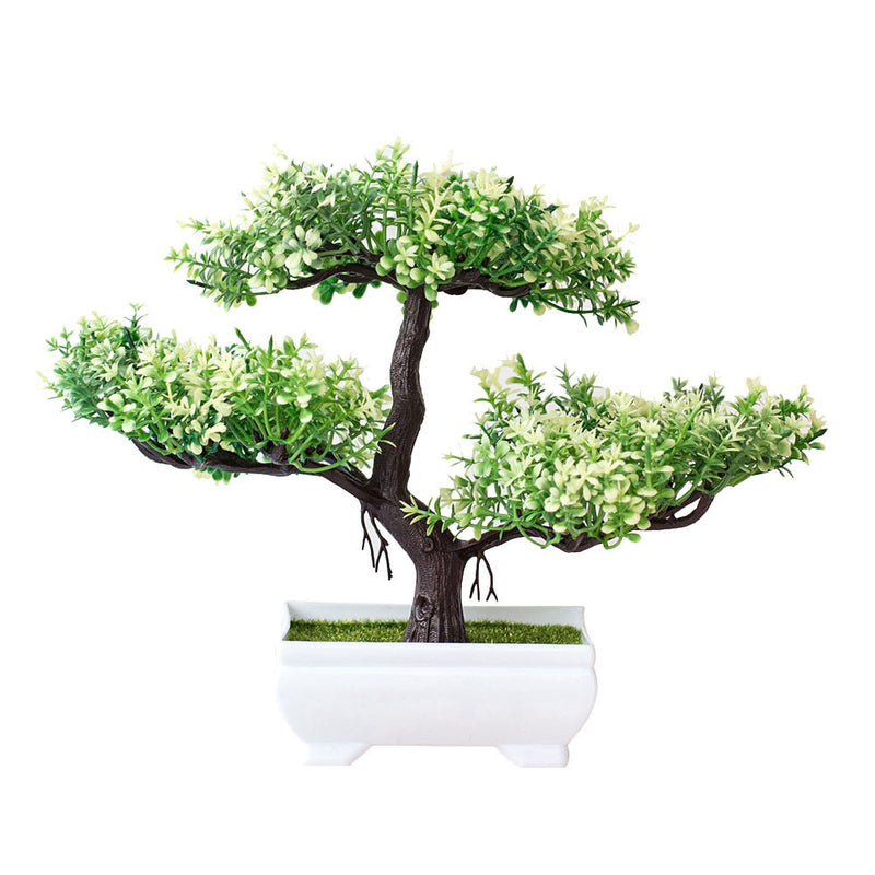 Bonsai potted plants